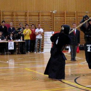 gallery__image